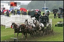 23_haho_ponyvm18